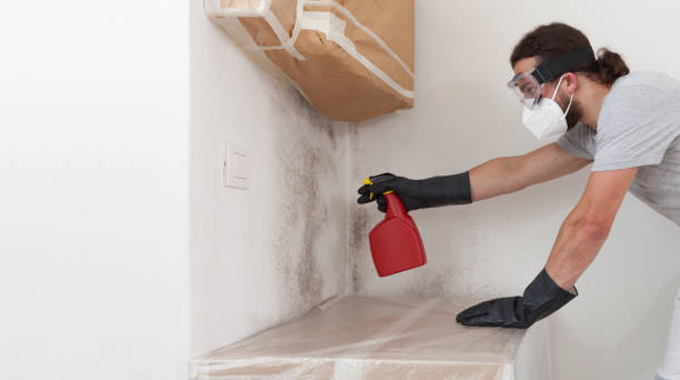 Professional Bathroom Mold Removal technician working in Church Hill, PA