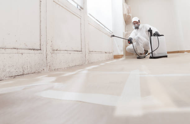24/7 Emergency Bathroom Mold Removal experts in Church Hill, PA