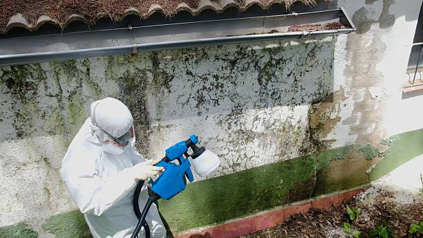 Top rated local Bathroom Mold Removal specialists in Church Hill, PA